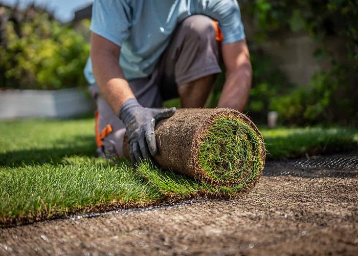 Natural Grass Turf Installation