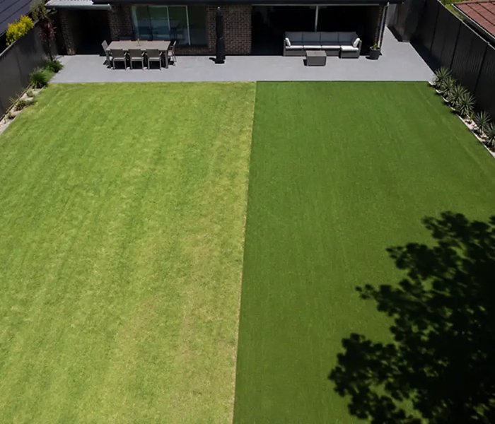 Natural Grass Turf Installation