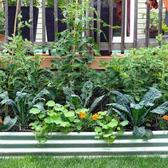 Custom Raised Planters & Garden Beds